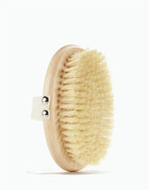 Plant-Based Body Brush