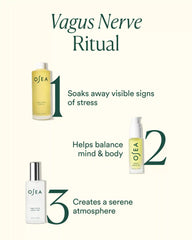 Vagus Nerve Trio